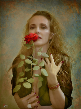 Among Roses, the Forgotten